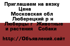 Приглашаем на вязку › Цена ­ 3 000 - Московская обл., Люберецкий р-н, Люберцы г. Животные и растения » Собаки   